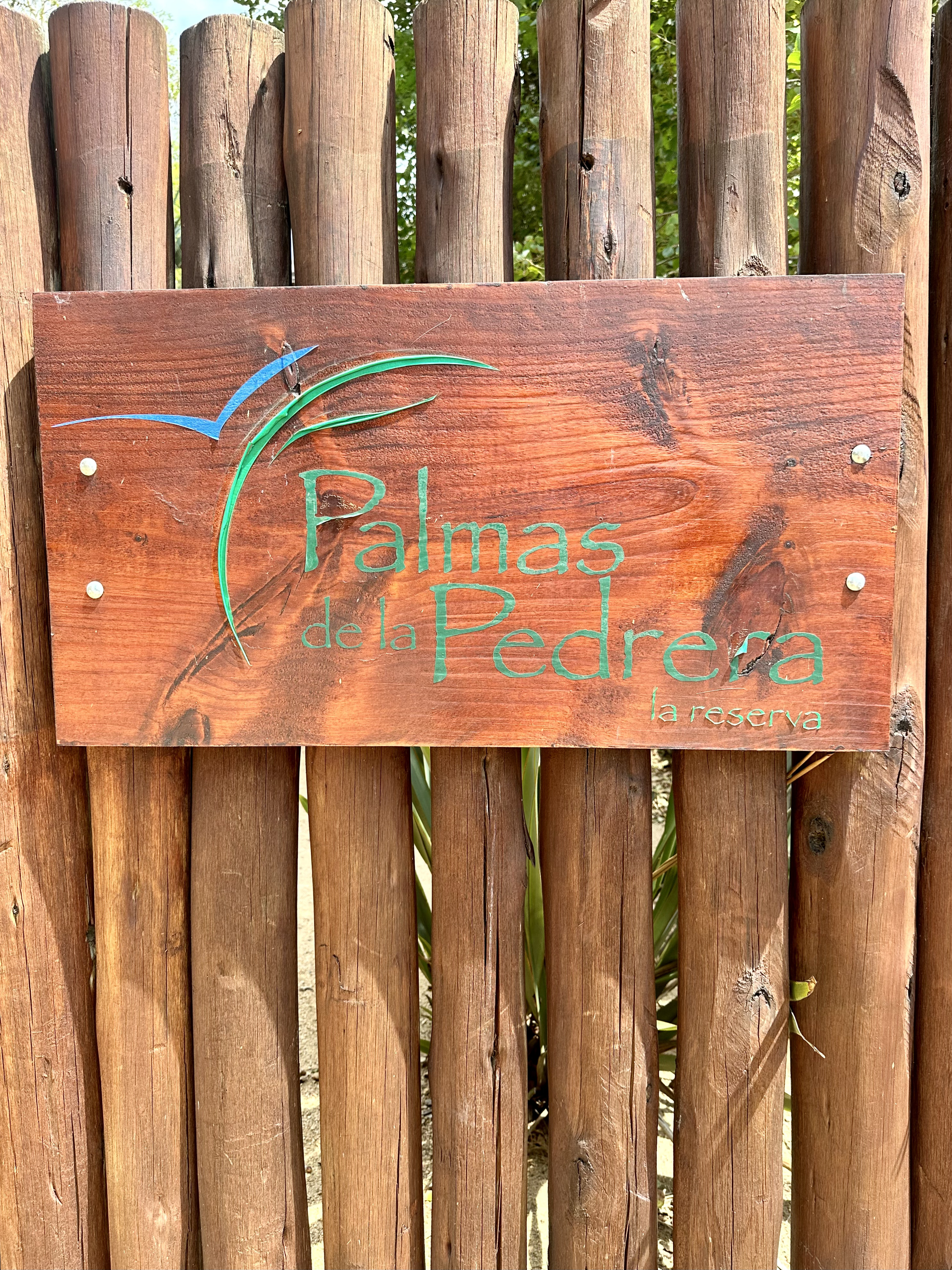 Complejo Palmas de la Pedrera Uruguay